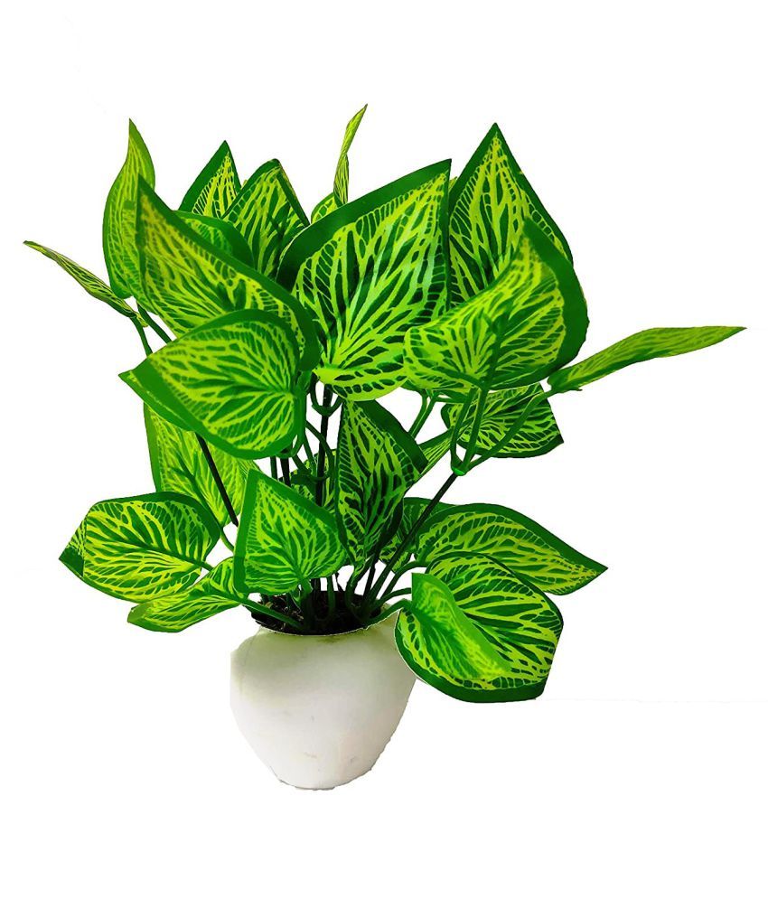     			Green plant indoor Artificial Money Plant Bonsai Green Bonsai Plastic - Pack of 1