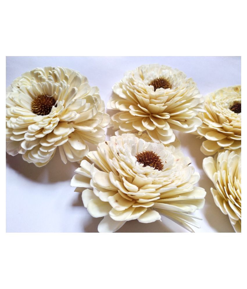     			craftaft Sunflower White Artificial Flowers - Pack of 10