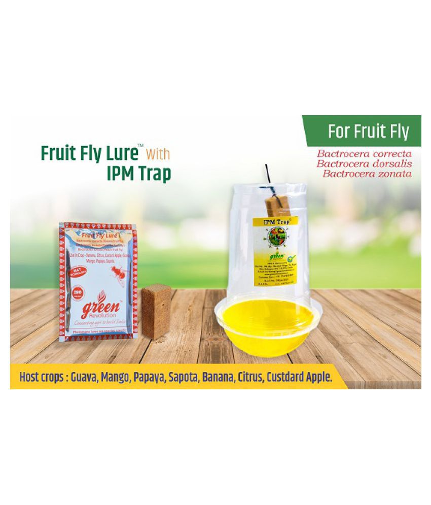     			Combo Pack of IPM Trap with Fruit Fly Pheromone lure For controlling all bactrocera correcta, Bactrocera dorsalis, Bactrocera Zonata  Pack of 10, Complete for 1 Acre.