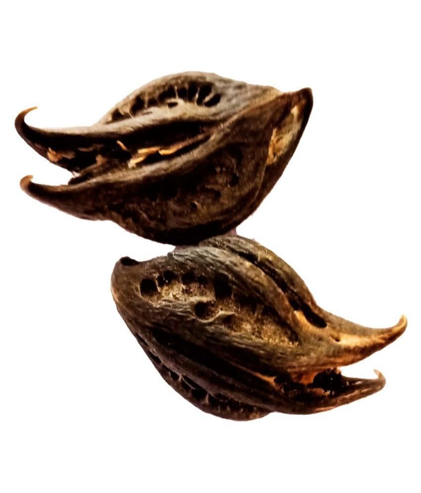 bat-head-root-buy-bat-head-root-online-at-low-price-snapdeal