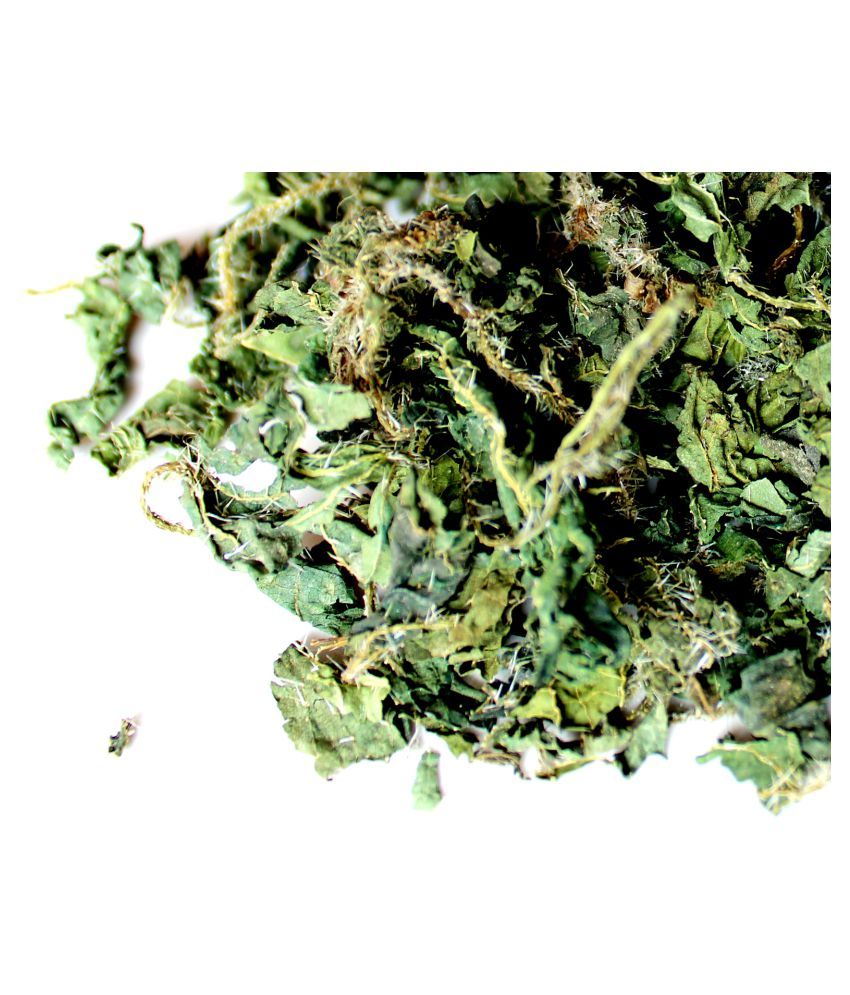 HerbiEaters Himalayan Stinging Nettle 50 gm Buy HerbiEaters Himalayan