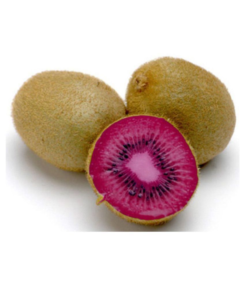     			V Square Retail Kiwi Fruit Seeds