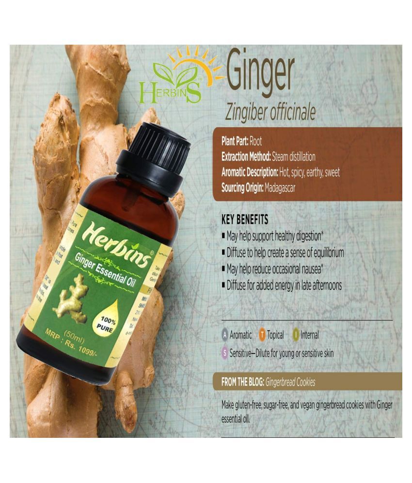 Herbins Ginger Hair Growth Skin Care Essential Oil 50 mL Buy Herbins