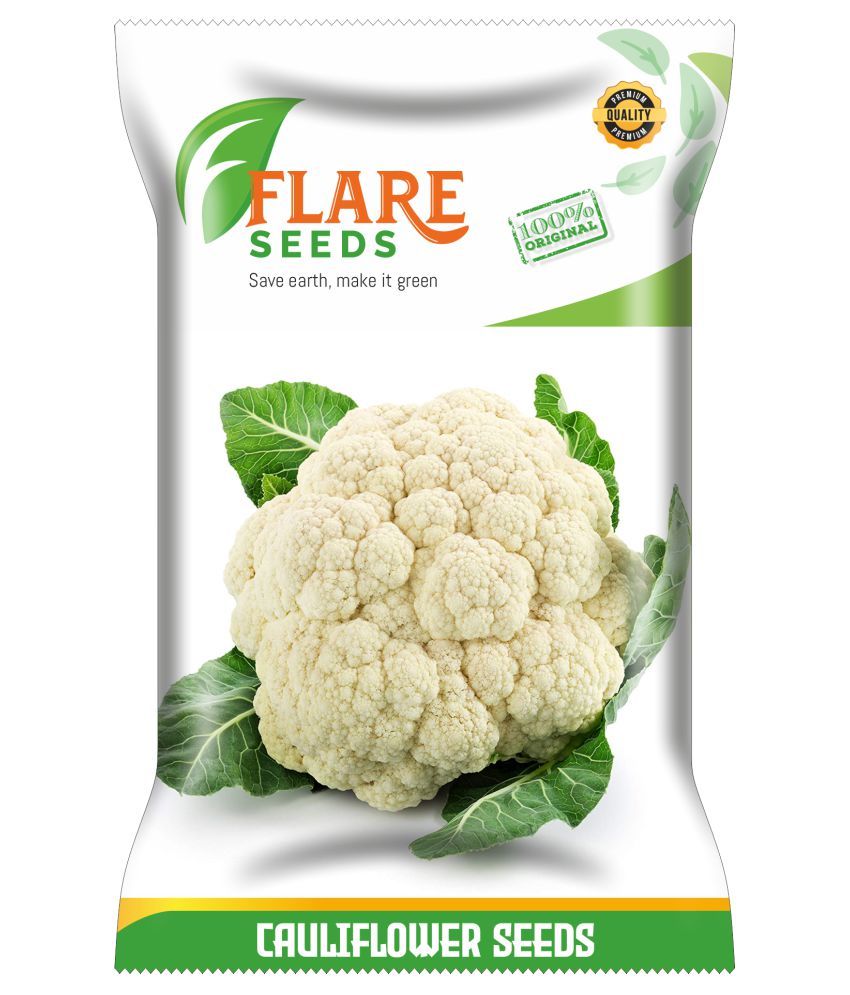 CAULIFLOWER SEEDS 100 SEEDS PACK Buy CAULIFLOWER SEEDS 100 SEEDS