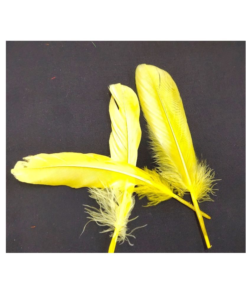Dyed YellowColor Goose Feather 19cm Art And Craft Decoration H0007