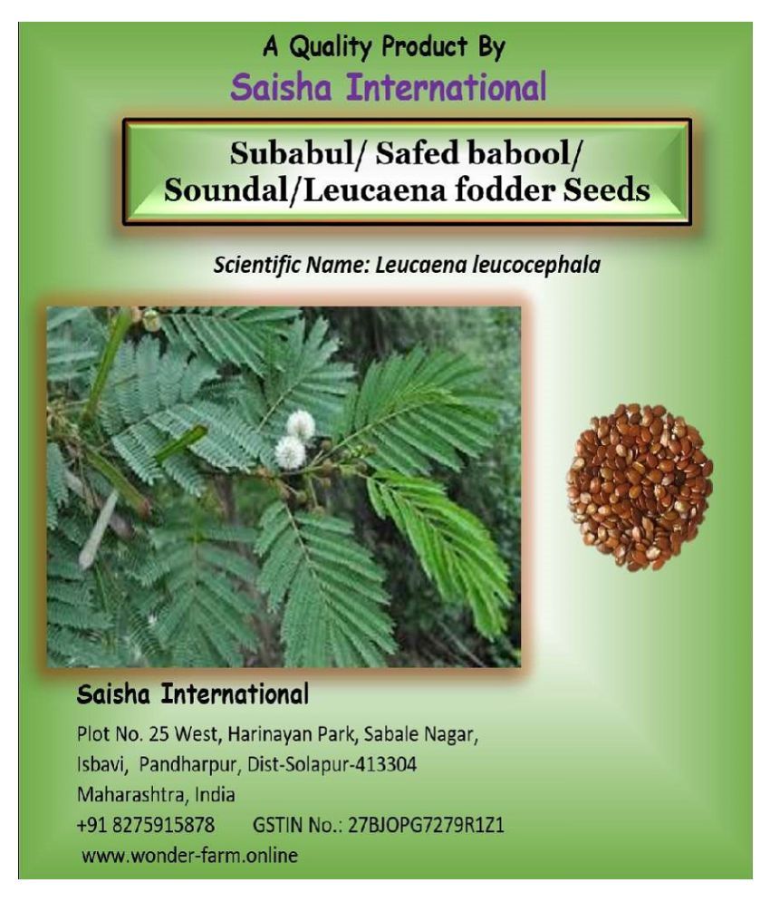 Subabul/ Safed babool/Soundal/Leucaena fodder Seeds-1 KG: Buy Subabul ...