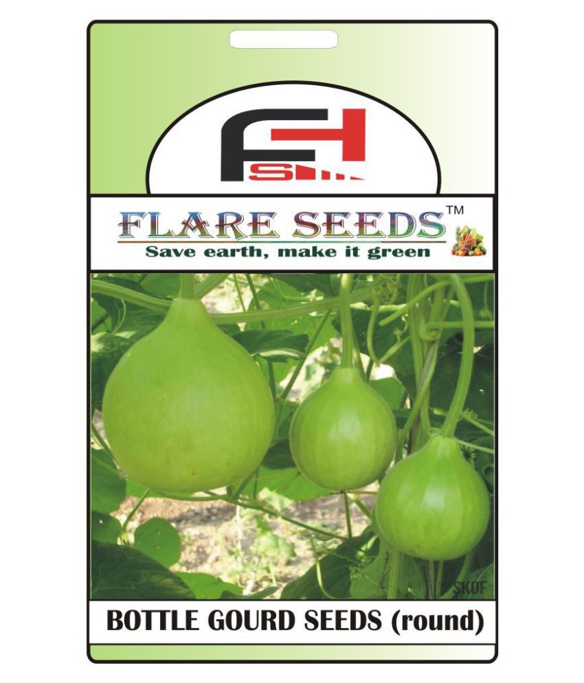     			Round Bottle Gourd Seeds - 20 Seeds Pack