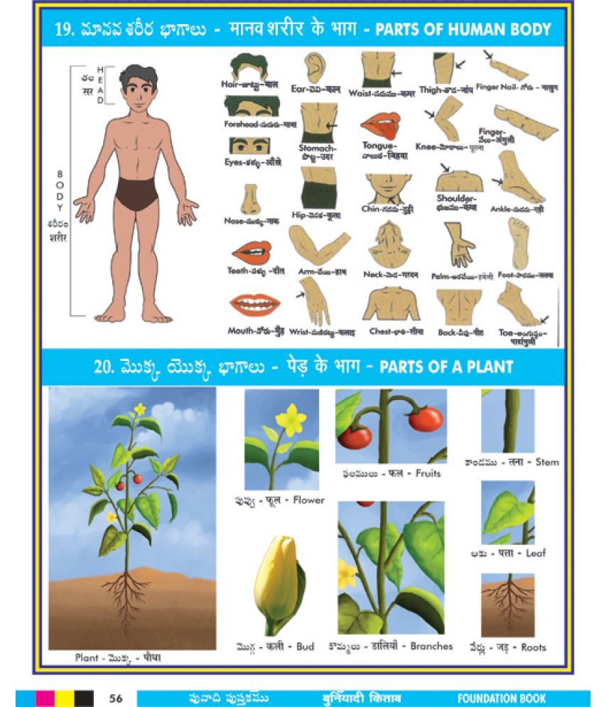 Foundation Book Telugu, Hindi and English Languages for Children