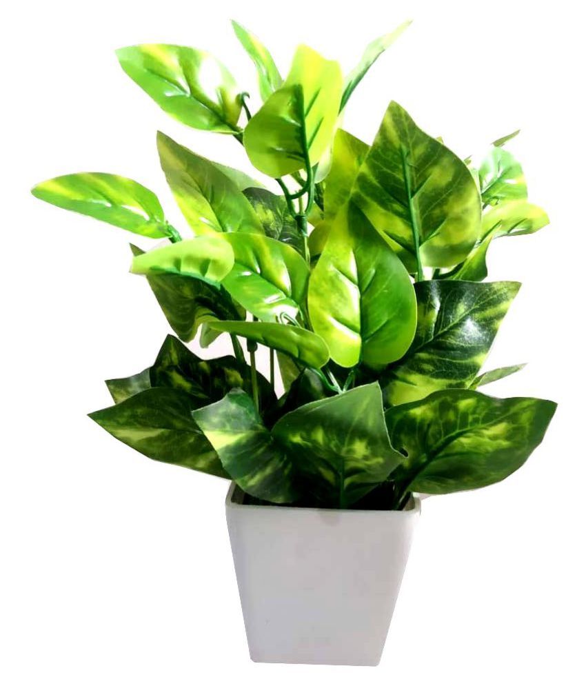 green-plant-indoor-artificial-money-plant-multicolour-bonsai-plastic