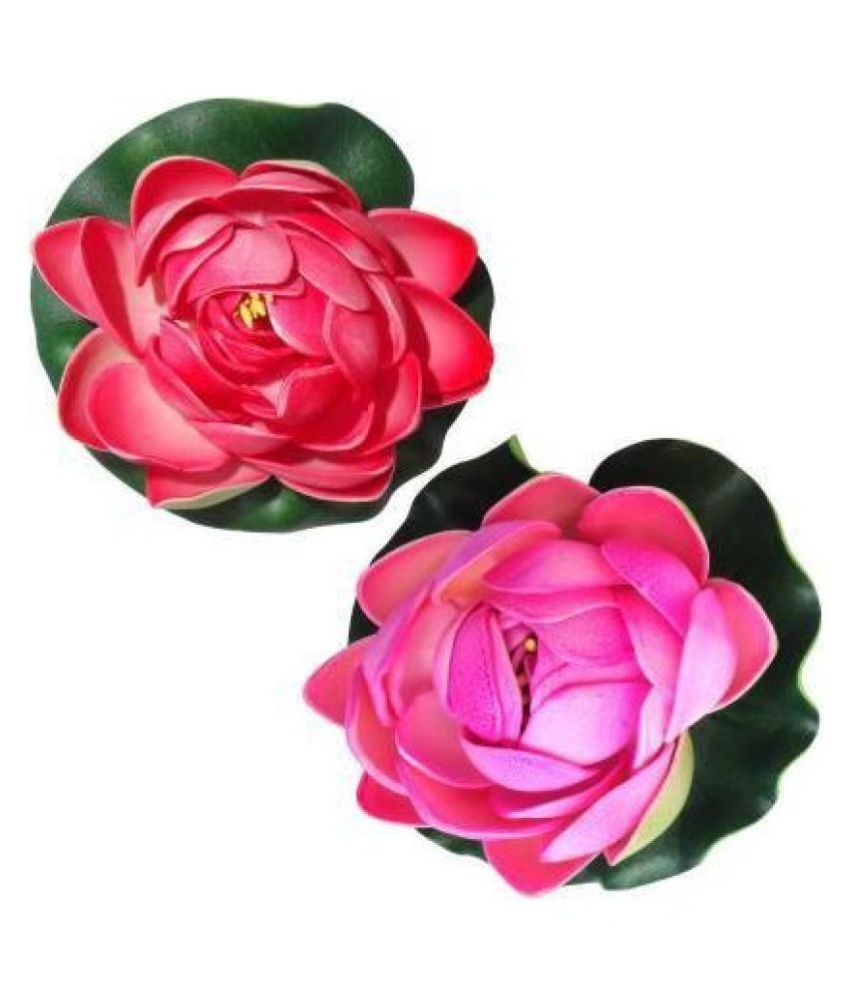     			Green plant indoor Lotus Multicolour Floating Flowers - Pack of 2