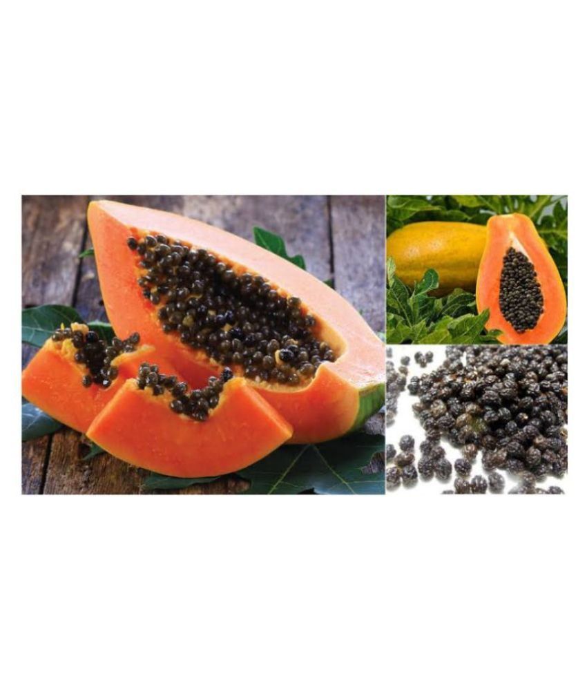 shivam organic seeds PAPAYA SEED Honey Dew Papaya organic seeds