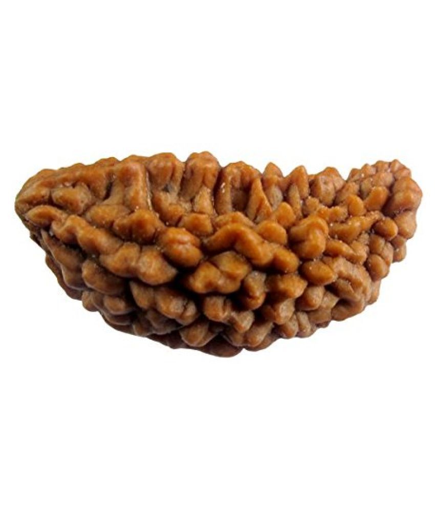     			KESAR ZEMS Natural Wooden Ek Mukhi-One Face Rudraksha Bead Original Bead.