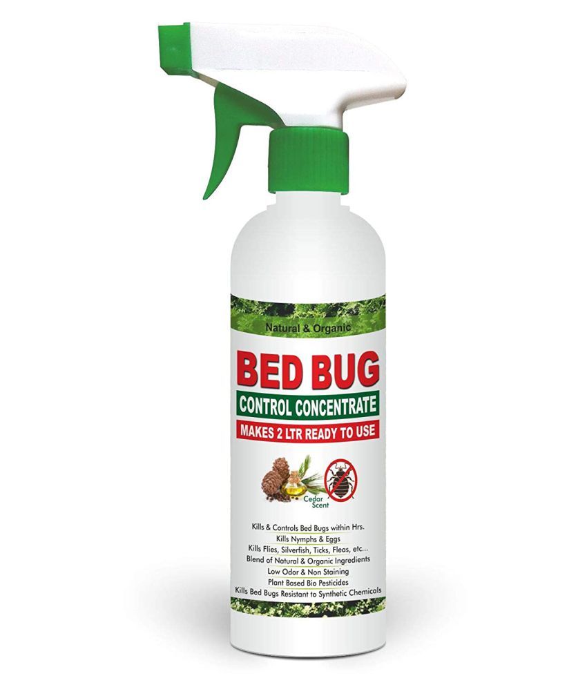     			Green Dragon Natural & Organic Bed Bug Spray Concentrate Makes 2 Ltr RTU