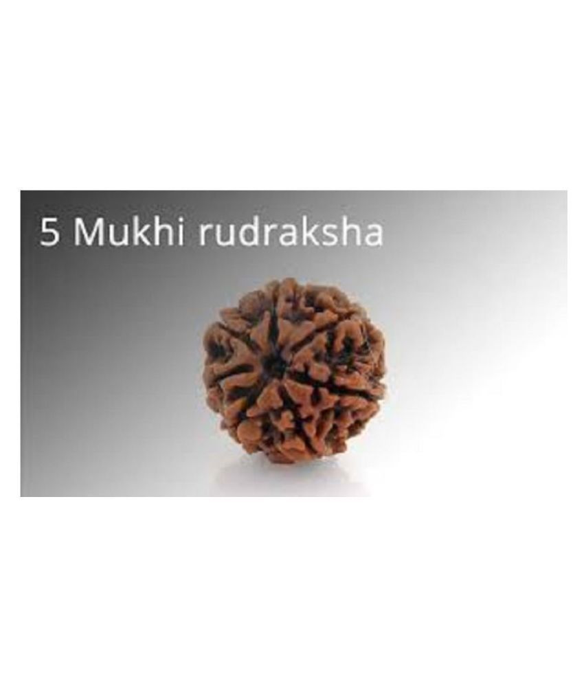     			Rare Kind Gems 5 Mukhi | 5 Faced Natural Nepal Rudraksha By Lab Certified