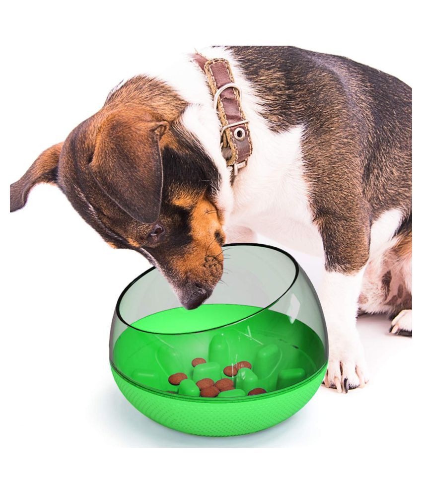 Emily Pets Interactive Slow Feeder Bowl Food Feeder Bow for Small Medium Dog and Cat (Green
