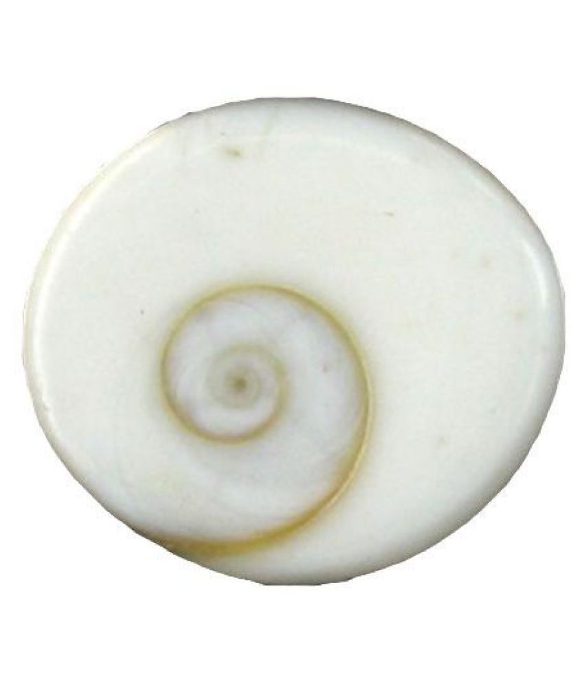     			Ever Forever Very Rare Natural Big Size Gomati Chakra 3-4 Cm Approx - 1 Piece