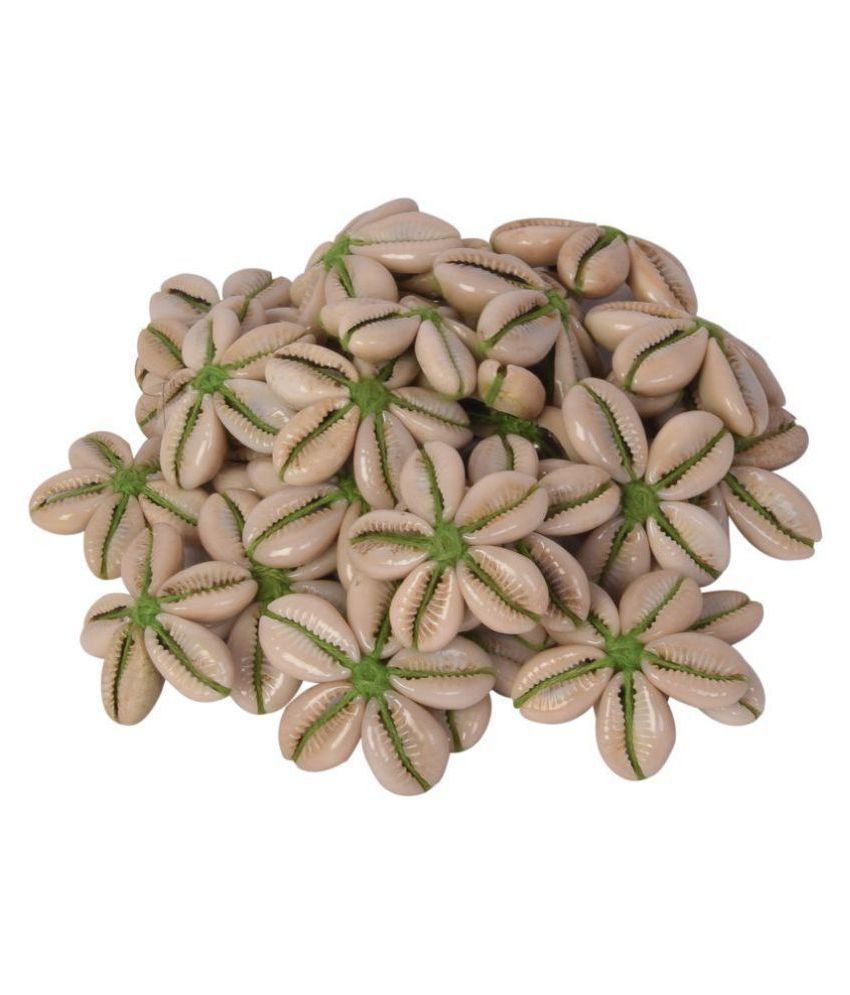     			Sea Shells Kowrie Hand Made Flowers ,15 pcs , size 4.5 cm x 4.5 cm, Green Color, used in dresses,suits, home decor, art & craft, Gift Wrapping