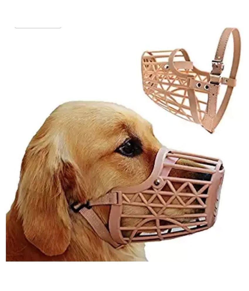 dog mouth guard