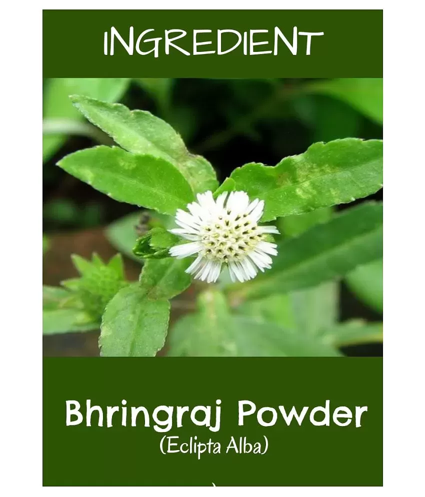 Bhringraj Powder for hair growth  100g  EtherealIndia