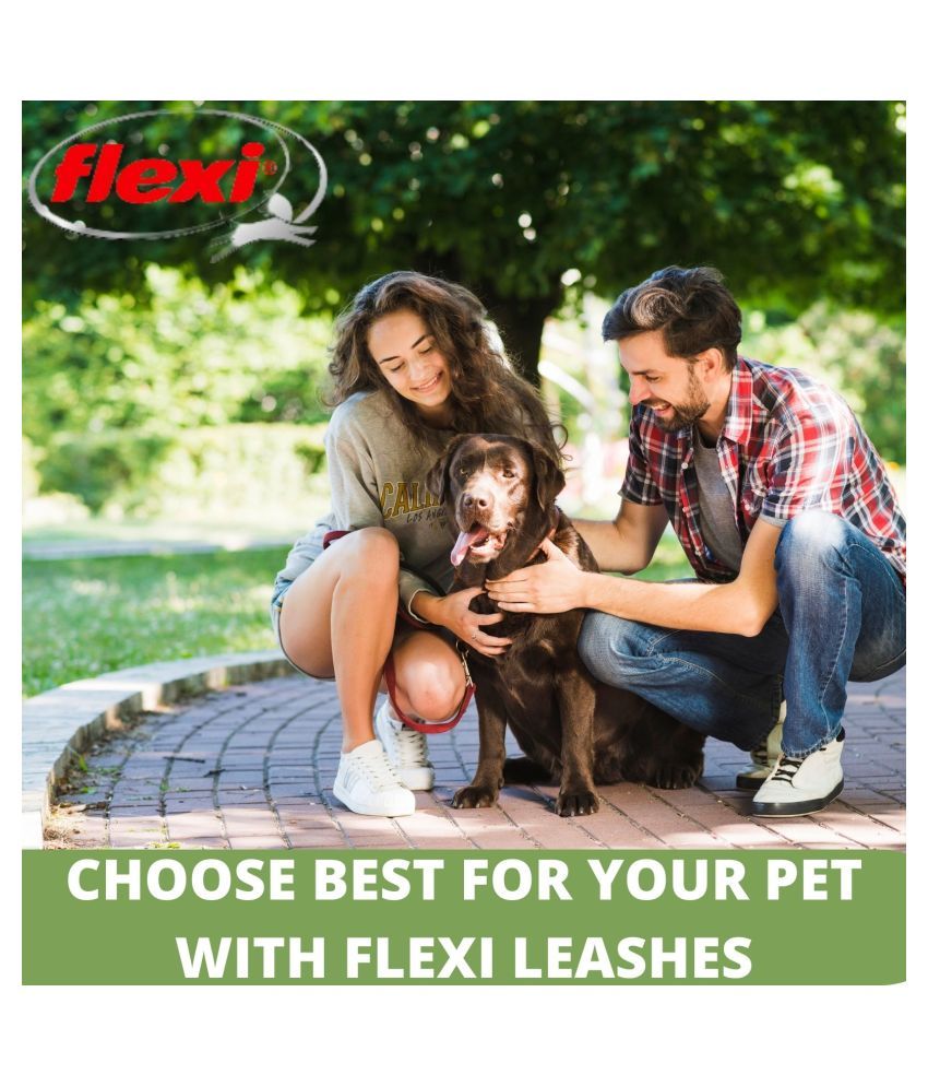 flexi new classic large