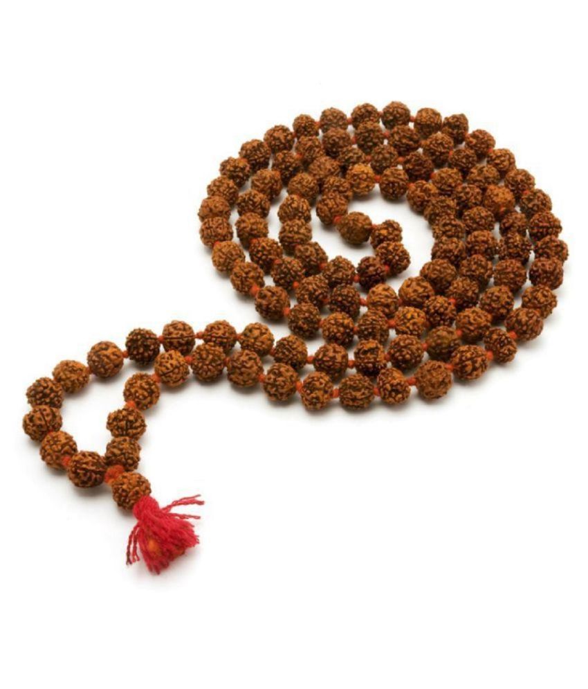     			rudradivine Rudraksha Pack of 1