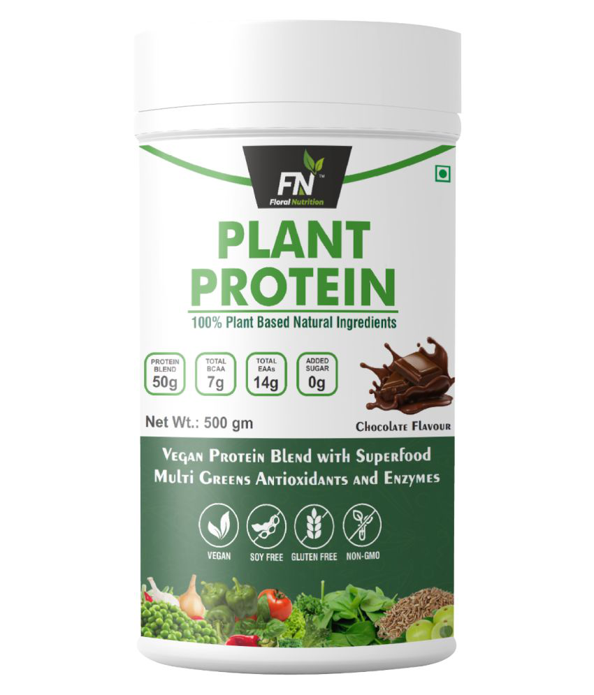 Floral Nutrition Plant Based Protein Powder 500 gm
