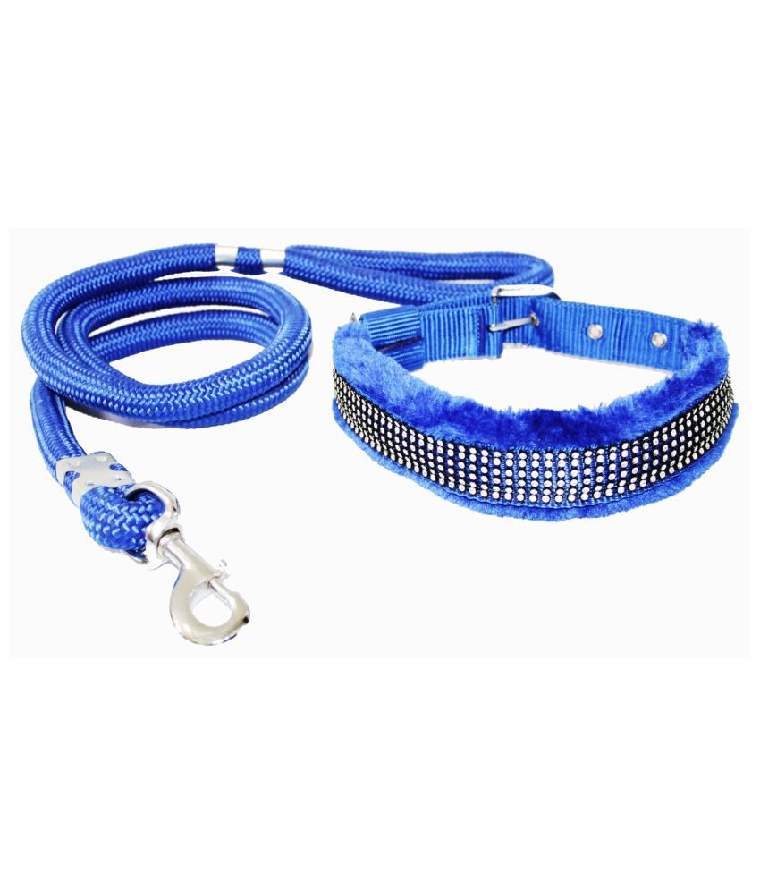     			Petshop7 - Blue Dog Combo (Large)