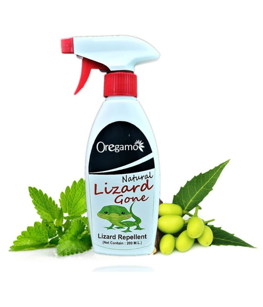 homemade lizard repellent