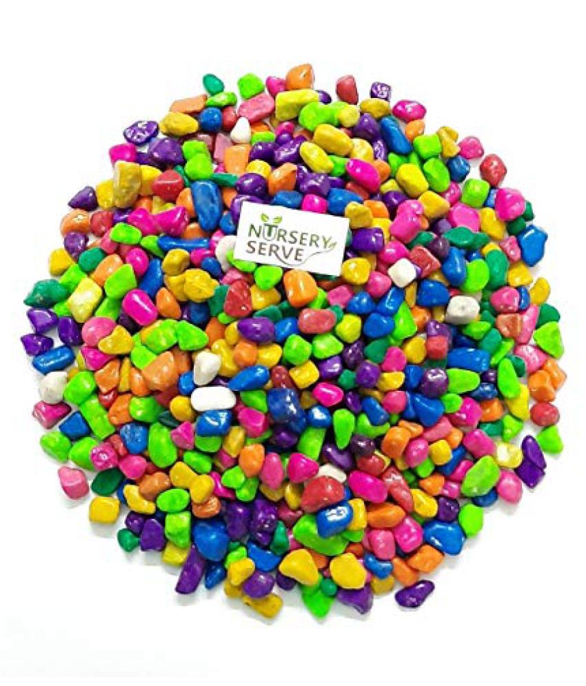     			Somil Multicolor Pabbles/Stone For Garden, Plants, Aquarium & Home Decor Wt. 950g