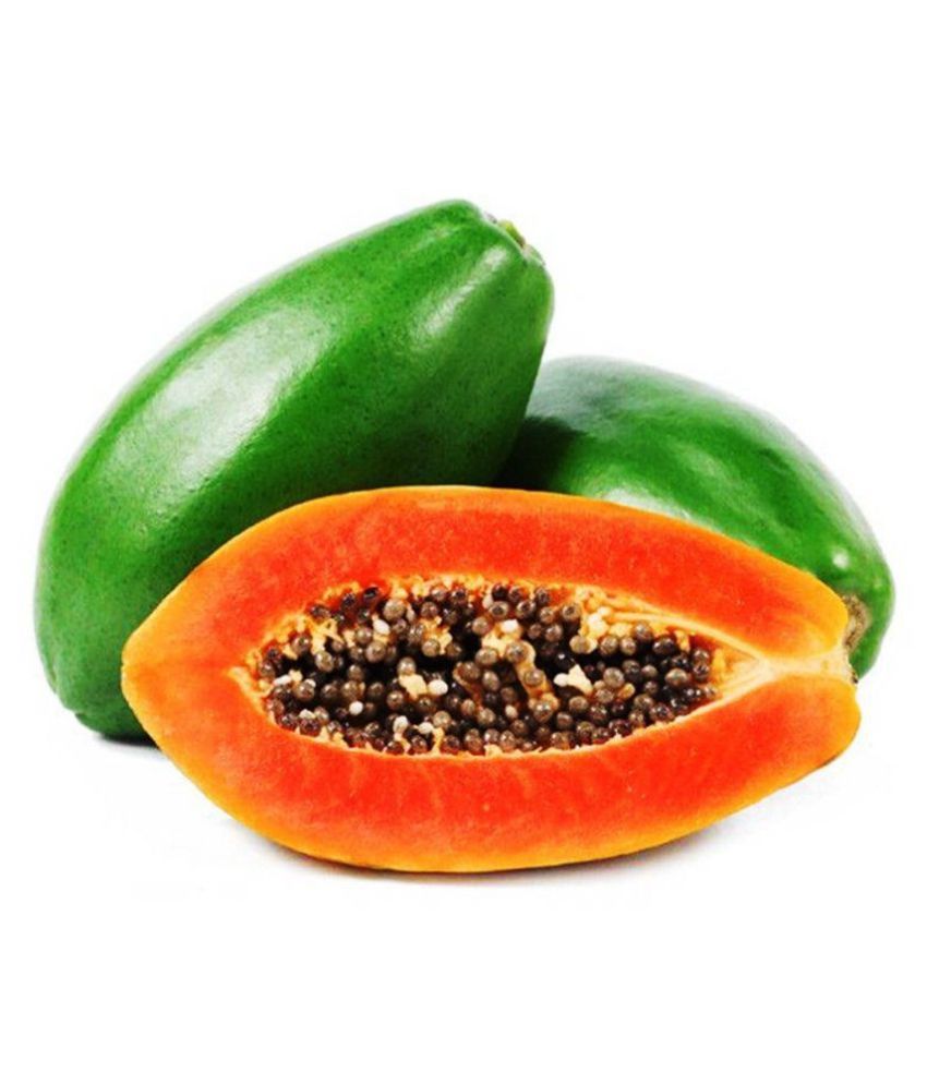 Iris Hybrid Fruit Seeds Papaya Red Lady with Instruction Manual Buy