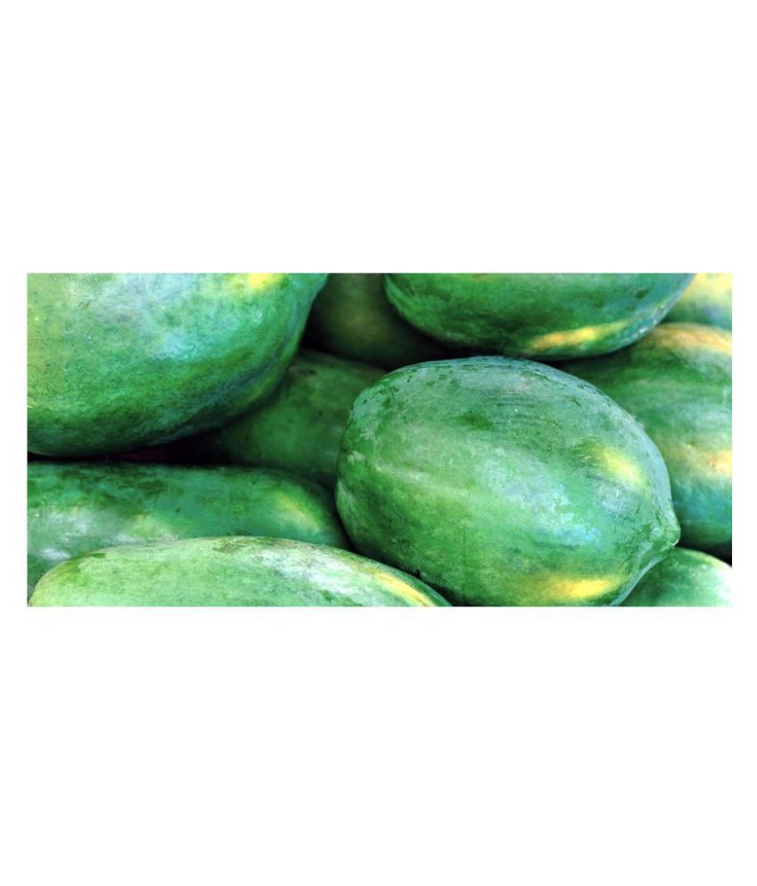 Iris Hybrid Fruit Seeds Papaya Red Lady with Instruction Manual Buy