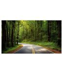 Asmi Collection Beautiful Road in Green Tree Forest Wall Sticker ( 50 x 90 cms )