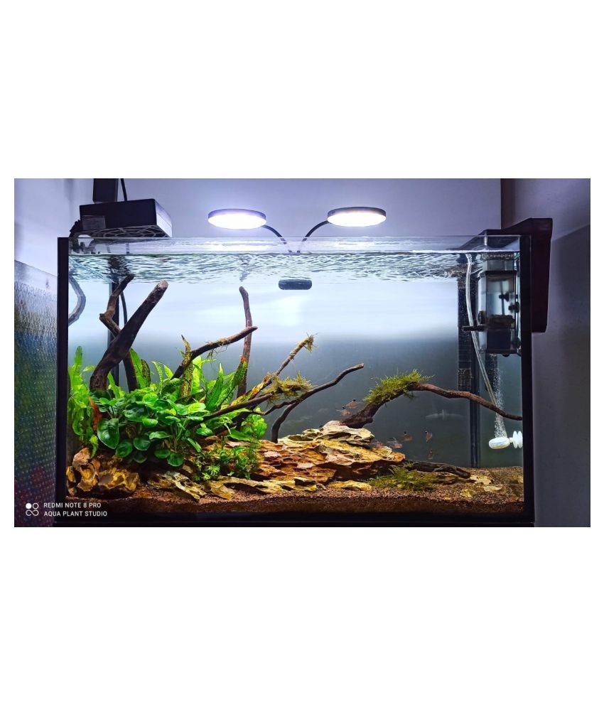 fireglow aquarium light