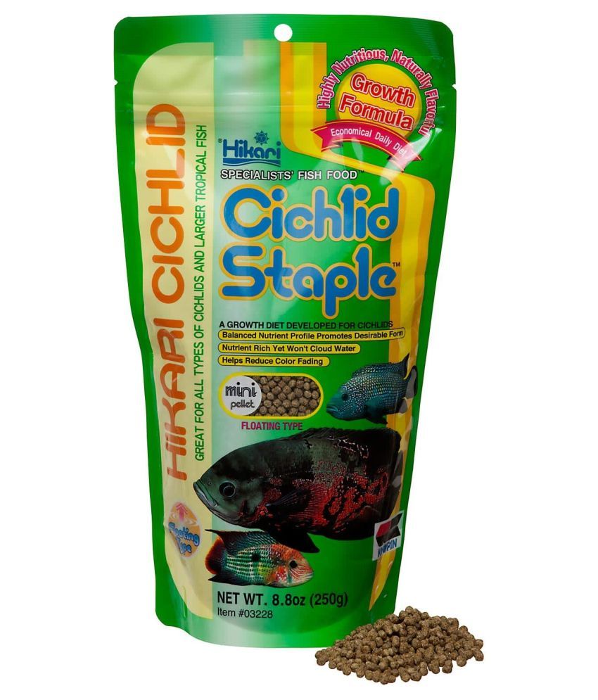     			Hikari Cichlid Gold Mini Pellet Aquarium Fish Food, 250 g RICHBAY