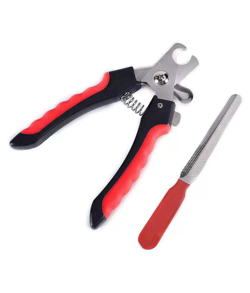 THE DDS STORE Nail Clippers Trimmers,Pet Nail Cutter, Professional Safety  Guard Avoid Over-Cutting, Pack of 2 Scissor Nail Clipper Price in India -  Buy THE DDS STORE Nail Clippers Trimmers,Pet Nail Cutter,