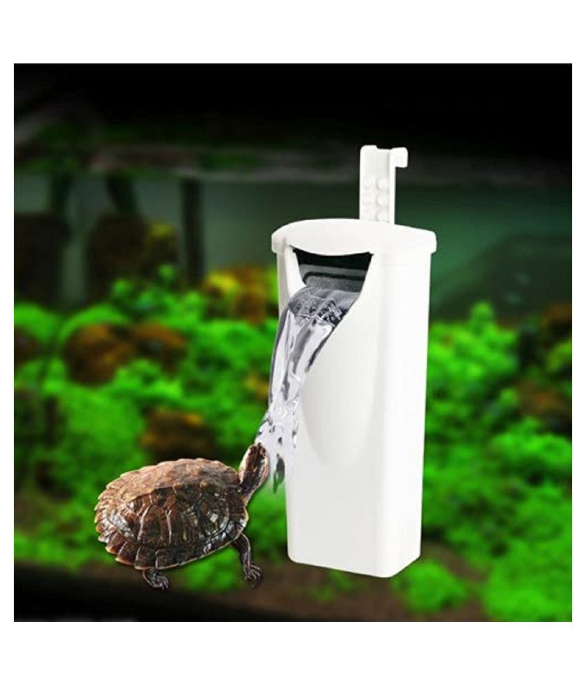 water filter for turtle tank
