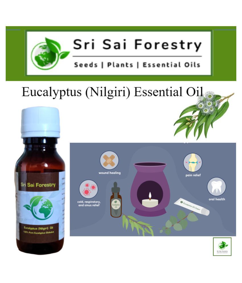 SRI SAI FORESTRY Eucalyptus Nilgiri Oil Natural Aroma Pure Undiluted