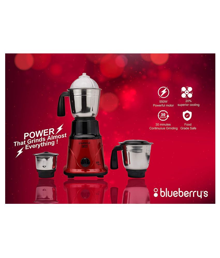 blueberry mixer grinder 550 watt price