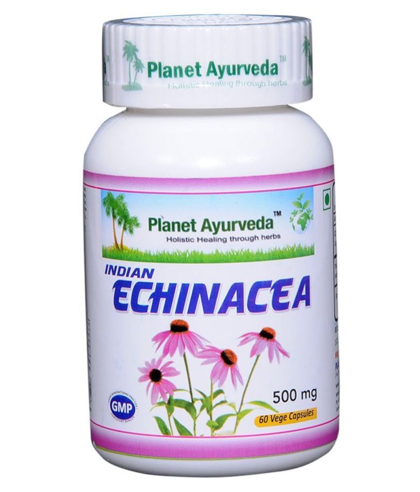 Ayurveda Echinacea Capsules Capsule 60 mg Pack Of 1 Buy