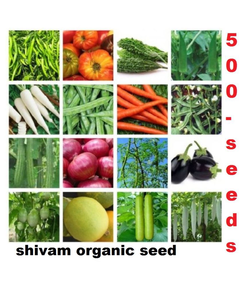     			16 Variety Vegetable Best Quality Combo Seeds - Pack Of 500+ Hybrid Seeds