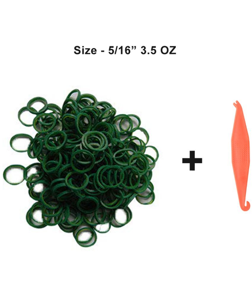 Dentosmile Orthodontic Dental elastics + Placer/Green color Teeth