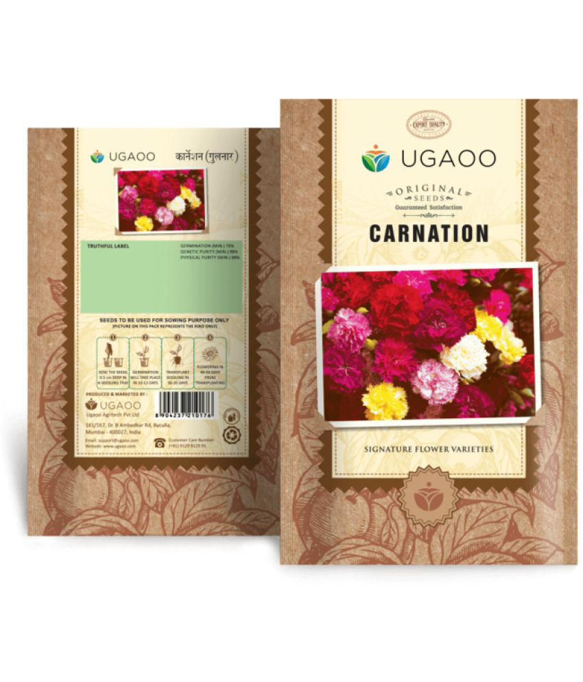     			Ugaoo Carnation Flower Seeds (Pinkish Purple, Pack of 200)