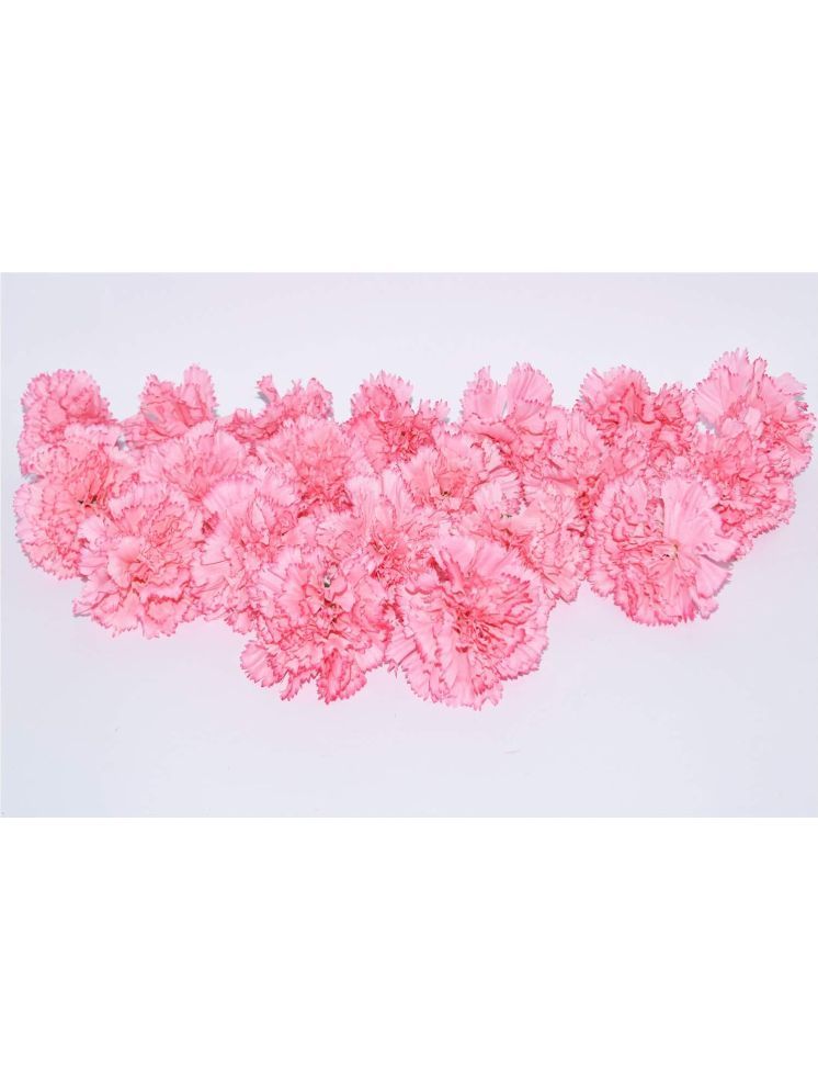     			Green plant indoor - Pink Carnations Artificial Flower ( Pack of 13 & More )