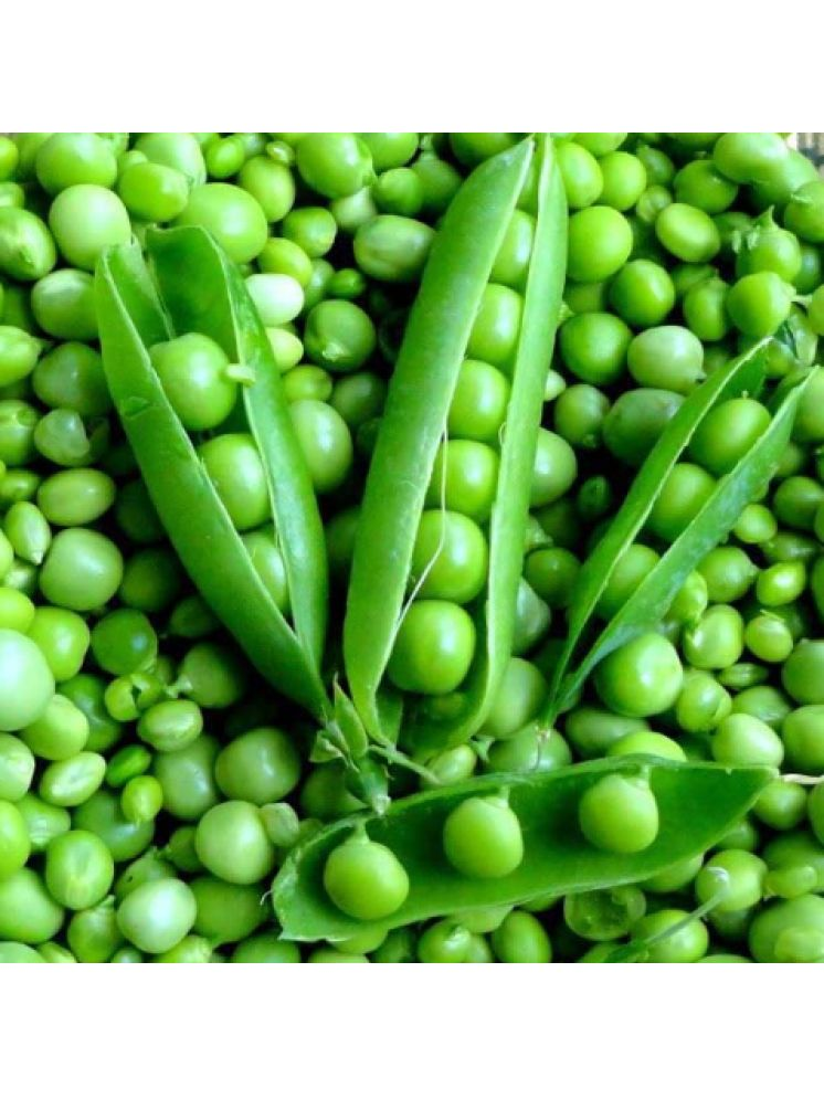     			LiveNature Peas Vegetable ( 50 Seeds )