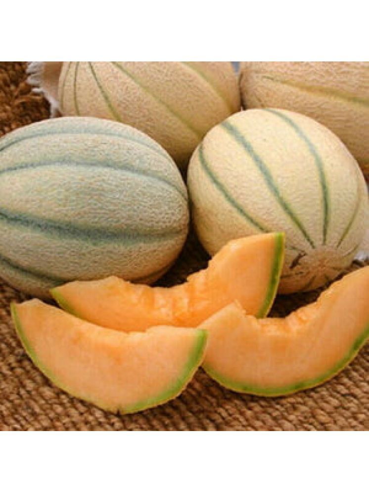     			Jignisha Seeds Hybrid Muskmelon Fruit ( 30 Seeds )