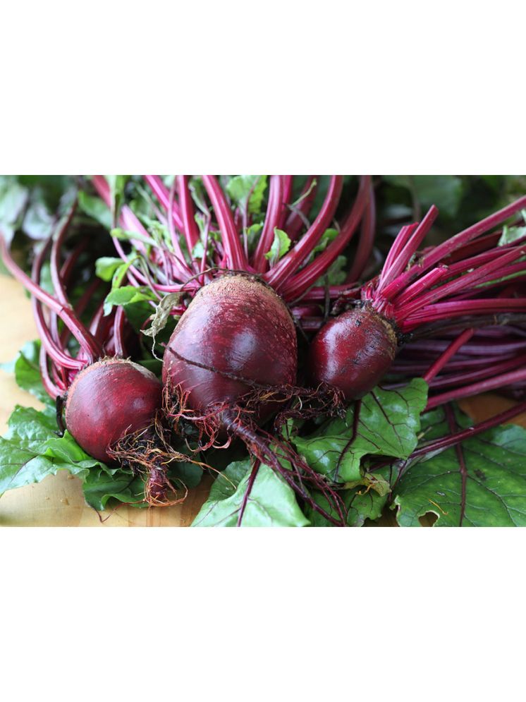     			LiveNature Organic Beetroot Vegetable ( 100 Seeds )