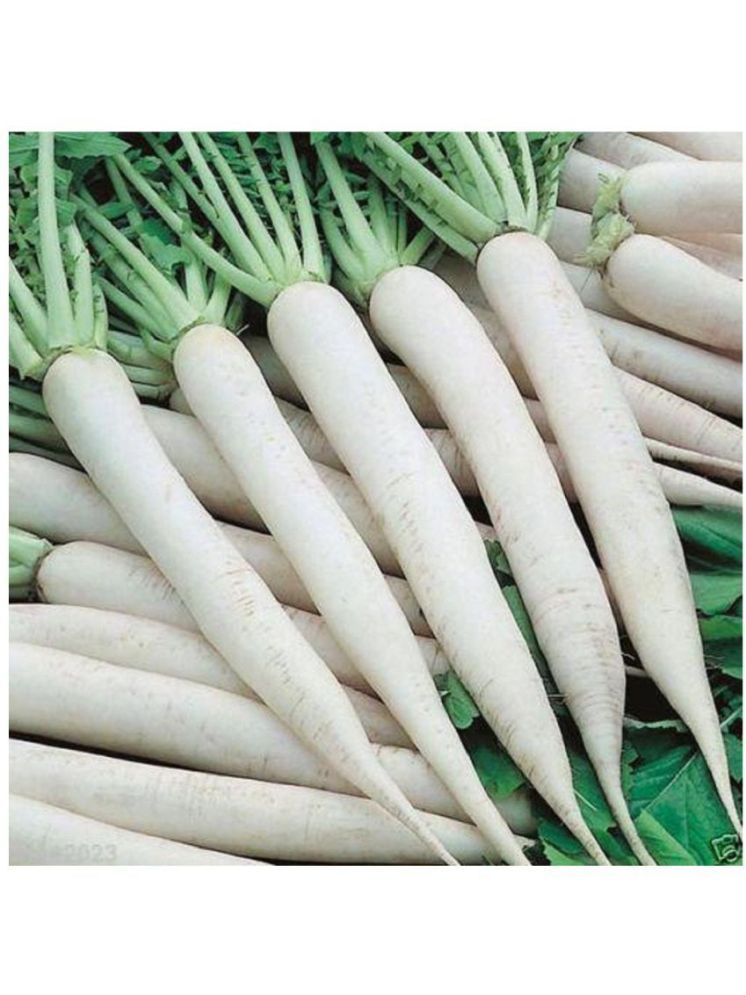     			LiveNature Organic White Radish Vegetable ( 1000 Seeds )