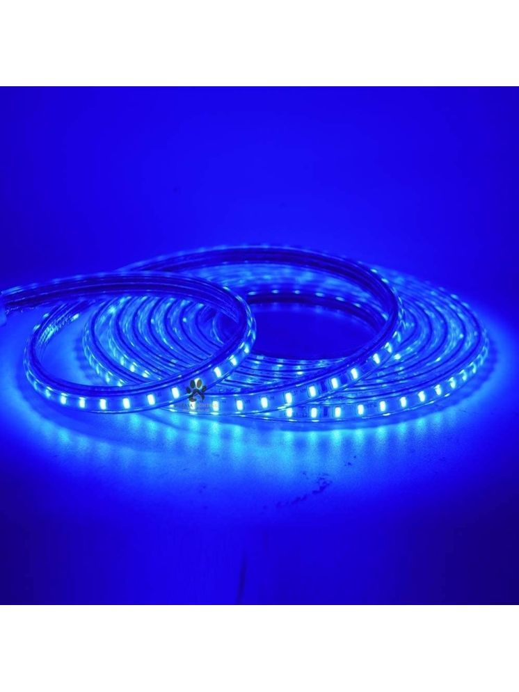     			ZESTRUM Blue 5M LED Strip ( Pack of 1 )