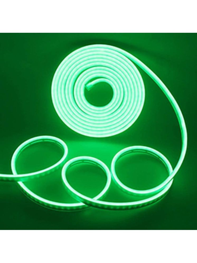     			ZESTRUM Green 5M Neon Light ( Pack of 1 )