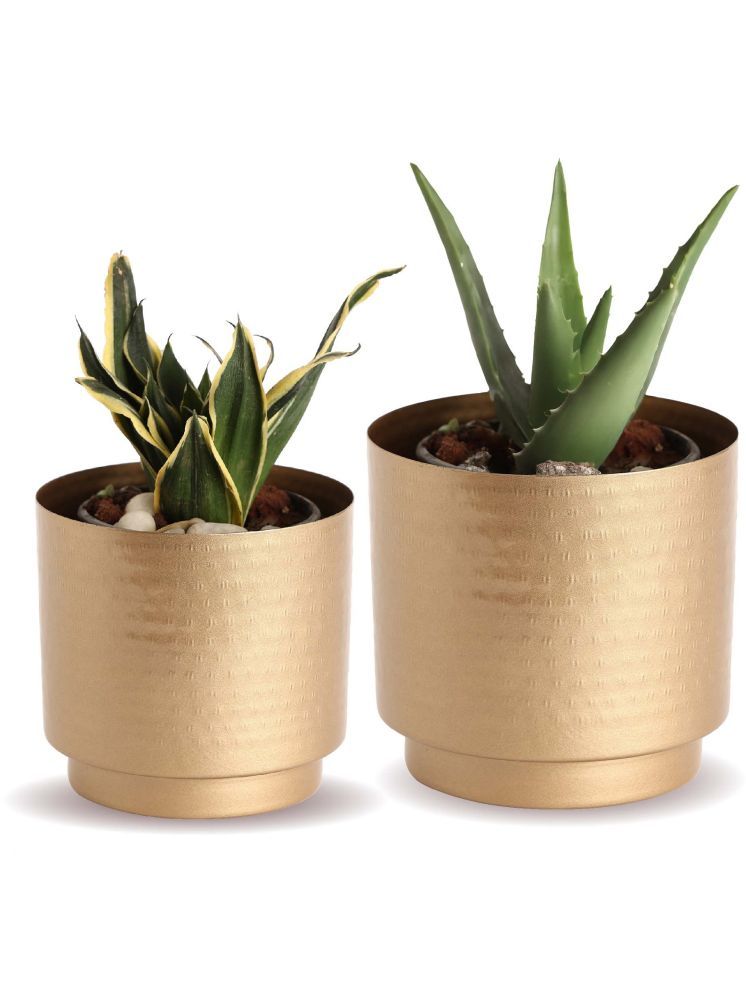     			10Club Gold Metal Desk Planters ( Pack of 2 )